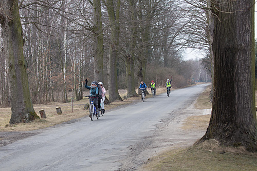 Rowerowe szlaki turystyczne