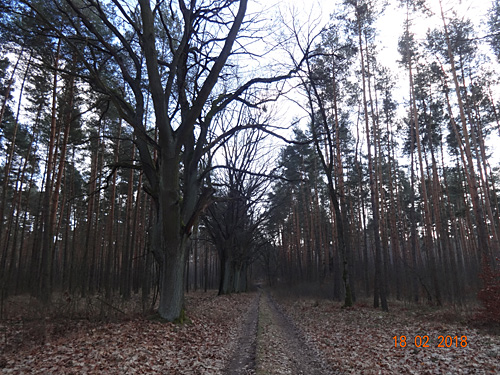 Rowerowe szlaki turystyczne