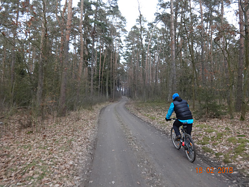 Rowerowe szlaki turystyczne