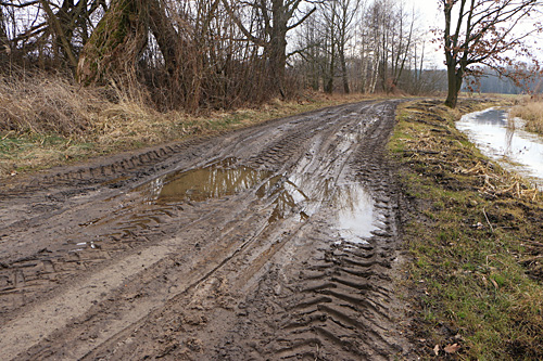 Rowerowe szlaki turystyczne