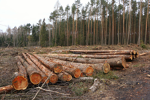 Rowerowe szlaki turystyczne